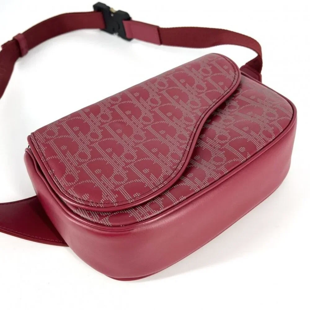 Dior Body Bag Oblique Galaxy Shoulder Bag World Tour Saddle Bag - Picture 3 of 10